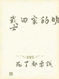 武田家的明国武士