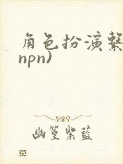 角色扮演系统(npn)
