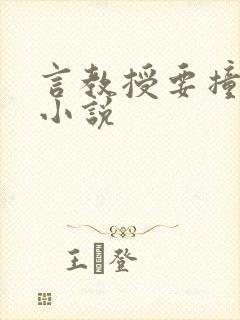 言教授要撞坏了小说