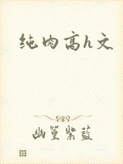 纯肉高h文