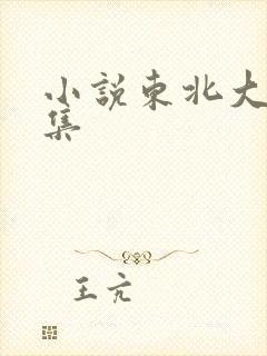 小说东北大炕全集