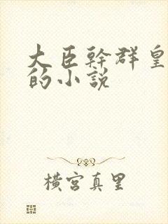 大臣干群皇太后的小说