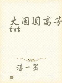 大团圆高芳小说txt