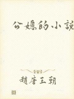 公媳的小说