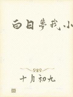 白日梦我小说