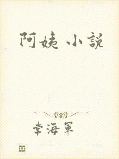阿姨 小说
