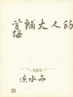 首辅大人的小青梅