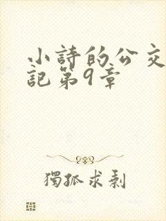 小诗的公交车日记第9章