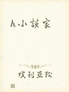 h小说家