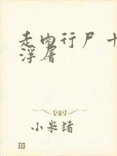 走肉行尸 十阶浮屠