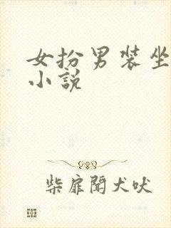 女扮男装坐江山小说