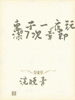 东子一夜玩弄白洁7次章节