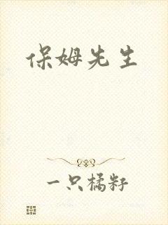 保姆先生
