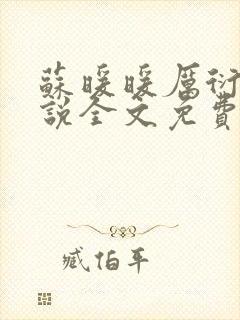 苏暖暖厉衍琛小说全文免费阅读