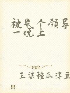 被几个领导玩弄一晚上