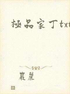 极品家丁txt