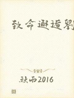 致命邂逅刘小寐