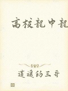 高校龙中龙