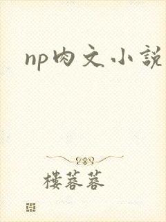 np肉文小说