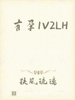 有孕1V2LH