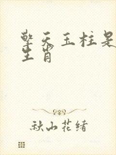 擎天玉柱是什么生肖