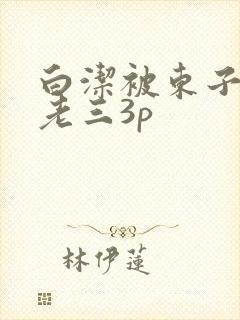 白洁被东子老二老三3p