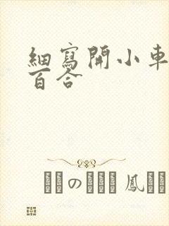 细写开小车车的百合