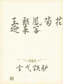 王熙凤菊花门初迎来客