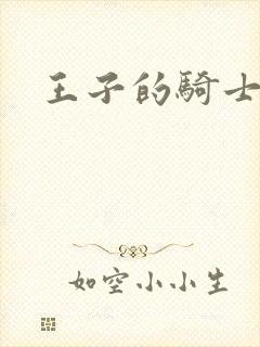 王子的骑士小说