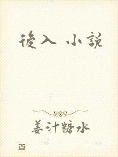 后入 小说
