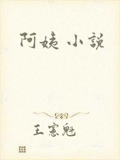 阿姨 小说