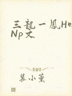 三龙一凤H啪肉Np文