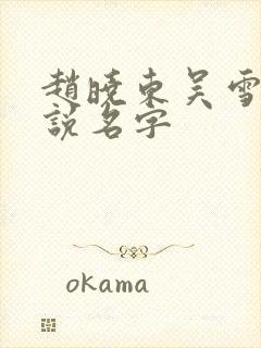 赵晓东吴雪晴小说名字