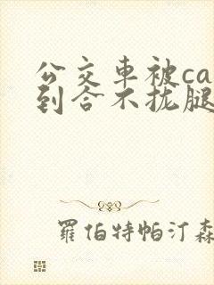 公交车被cao到合不拢腿视频