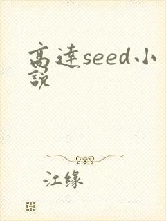 高达seed小说