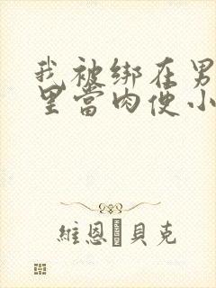 我被绑在男公厕里当肉便小说