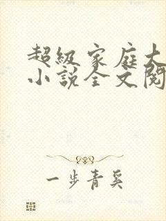 超级家庭大杂烩小说全文阅读