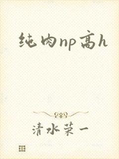 纯肉np高h