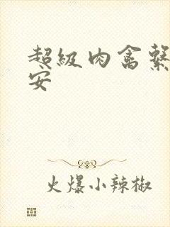 超级肉禽系统保安