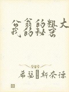 公翁的粗大放进我的秘密