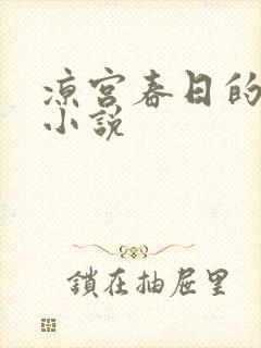 凉宫春日的忧郁小说