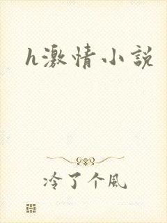 h激情小说