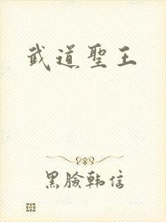 武道圣王
