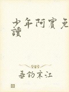 少年阿宾免费阅读