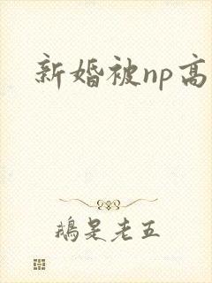 新婚被np高h