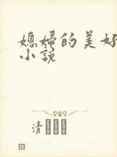 媳妇的美好时代小说