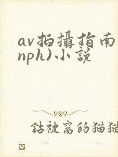 av拍摄指南(nph)小说