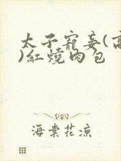 太子宠妾(高肉)红烧肉包