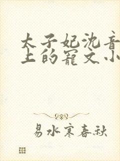 太子妃沈音和皇上的宠文小说