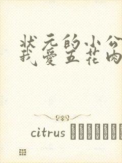 状元的小公主(我爱五花肉)